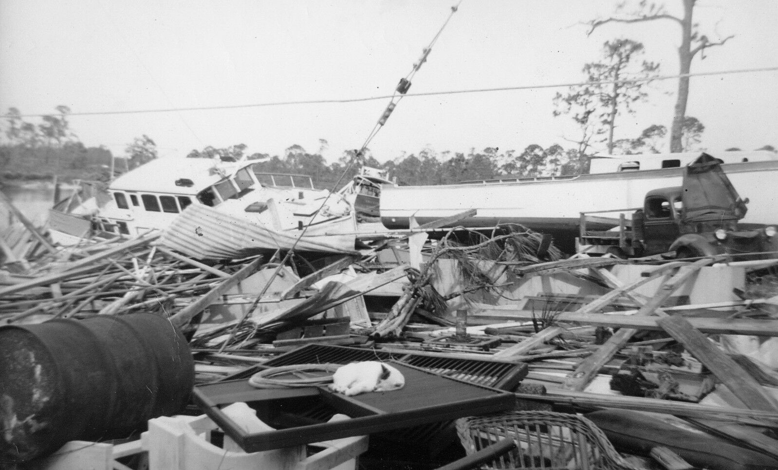 Click to See Next Image